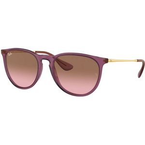 Ray-Ban, Accessoires, Dames, Paars, 54 MM, Erika Zonnebril in Pink Gradient Brown