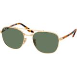 Ray-Ban RB3688 001/31 Glasdiameter: 55