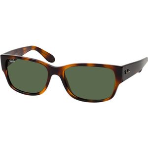 Ray-Ban - RB4388 - Zonnebril - 710/31