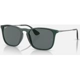 Ray-Ban RB 4187 CHRIS Herren-Sonnenbrille Vollrand Eckig Kunststoff-Gestell, grün