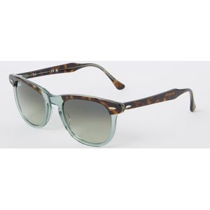 Ray-Ban Eagle Eye zonnebril RB2398