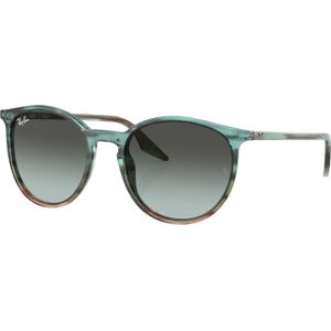 Ray-Ban Zonnebril RB2204