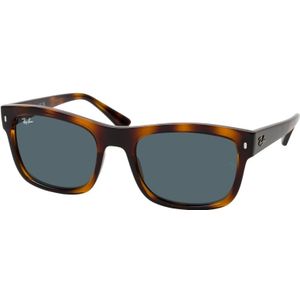 Ray-Ban Zonnebril RB4428