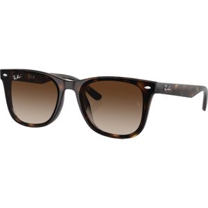 Ray-Ban Zonnebril RB4420