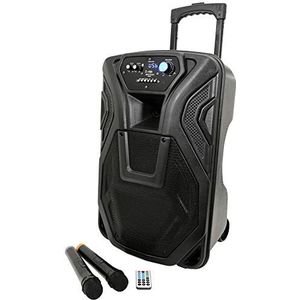 Actieve actieve luidspreker karaoke draagbare trolley met Bluetooth, radio, echo, eco, USB, SD, MMC, MP3, WMA, microfoons, gitaaringang, equalizer SubWoofer 30 cm