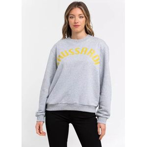 Trussardi dames trui in grijs katoen