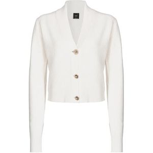 Pinko MOLLUSCO gebreide jas Felted Stret, Z12_melkachtig wit, S