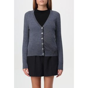 Pinko, Dames, Truien, Grijs, Maat: S