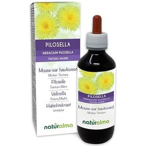Muizenoor (Hieracium pilosella) kruid Alcoholvrije moedertinctuur Naturalma - Vloeibaar extract druppels 200 ml - Voedingssupplement - Veganistisch
