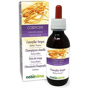 Cordyceps of Rupsenschimmel (Cordyceps sinensis of Ophiocordyceps sinensis) paddenstoel Alcoholvrije moedertinctuur Naturalma - Vloeibaar extract druppels 120 ml - Voedingssupplement - Veganistisch