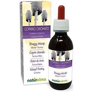 Geschubde inktzwam (Coprinus comatus) paddenstoel Alcoholvrije moedertinctuur Naturalma - Vloeibaar extract druppels 120 ml - Voedingssupplement - Veganistisch
