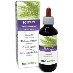 Heermoes (Equisetum arvense) kruid Alcoholvrije moedertinctuur Naturalma - Vloeibaar extract druppels 200 ml - Voedingssupplement - Veganistisch