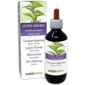Wolfspoot (Lycopus europaeus) kruid Alcoholvrije moedertinctuur Naturalma - Vloeibaar extract druppels 200 ml - Voedingssupplement - Veganistisch