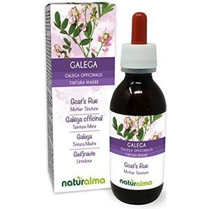 Galega of Geitenruit (Galega officinalis) kruid met bloemen Alcoholvrije moedertinctuur Naturalma - Vloeibaar extract druppels 120 ml - Voedingssupplement - Veganistisch