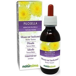Muizenoor (Hieracium pilosella) kruid Alcoholvrije moedertinctuur Naturalma - Vloeibaar extract druppels 120 ml - Voedingssupplement - Veganistisch