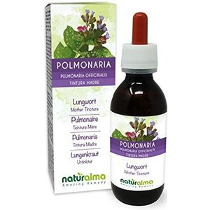 Gevlekt longkruid (Pulmonaria officinalis) kruid met bloemen Alcoholvrije moedertinctuur Naturalma - Vloeibaar extract druppels 120 ml - Voedingssupplement - Veganistisch