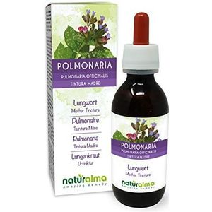 Gevlekt longkruid (Pulmonaria officinalis) kruid met bloemen Alcoholvrije moedertinctuur Naturalma | Vloeibaar extract druppels 120 ml | Voedingssupplement | Veganistisch