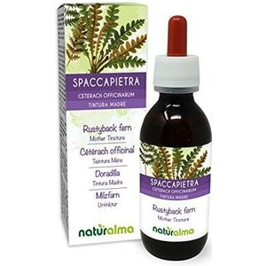 Schubvaren (Ceterach officinarum of Asplenium ceterach) bladeren Alcoholvrije moedertinctuur Naturalma - Vloeibaar extract druppels 120 ml - Voedingssupplement - Veganistisch