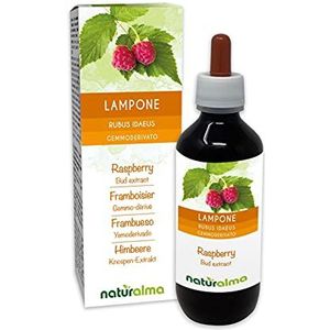 Framboos (Rubus idaeus) Alcoholvrij extract van verse knoppen Naturalma - Vloeibaar extract druppels 100 ml - Voedingssupplement - Veganistisch