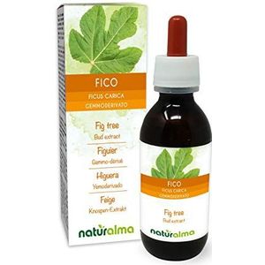 Vijg of Vijgenboom (Ficus carica) Alcoholvrij extract van verse knoppen Naturalma - Vloeibaar extract druppels 120 ml - Voedingssupplement - Veganistisch