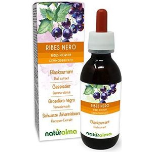 Zwarte bes (Ribes nigrum) Alcoholvrij extract van verse knoppen Naturalma - Vloeibaar extract druppels 120 ml - Voedingssupplement - Veganistisch