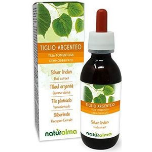 Zilverlinde (Tilia tomentosa) Alcoholvrij extract van verse knoppen Naturalma - Vloeibaar extract druppels 120 ml - Voedingssupplement - Veganistisch