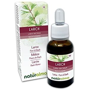 Larch of Lariks (Larix decidua) Naturalma Bloesemremedies - Druppels 30 ml - Alcoholvrij vloeibaar extract - Bloesemessences - Veganistisch en alcoholvrij