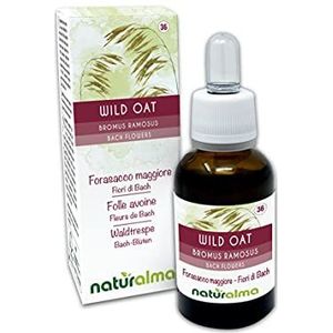 Wild oat of Ruwe dravik (Bromus ramosus) Naturalma Bloesemremedies - Druppels 30 ml - Alcoholvrij vloeibaar extract - Bloesemessences - Veganistisch en alcoholvrij