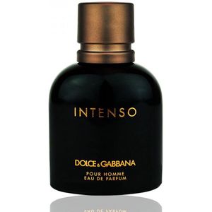 DOLCE & GABBANA Pour Homme Intenso Eau de Parfum voor heren, 125 ml