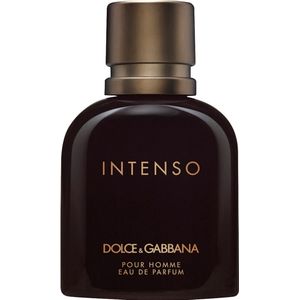 Dolce & Gabbana Pour Homme Intenso Herenparfum 75 ml
