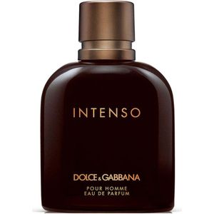 Dolce & Gabbana Intenso 200ml Eau De Parfum Bruin  Man