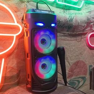 Karoke Bluetooth luidspreker behuizing 10 W RMS, 2 x 4 inch: draadloze luidsprekers met karaoke, microfoon, eco-effect en led, krachtige 1500 mAh batterij