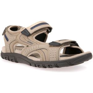 GEOX Schuhe Strada Herr Beige/marineblau