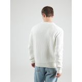 Replay - UK4722.000.G23788 - Trui