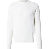 Replay - UK4722.000.G23788 - Trui