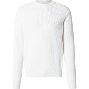 Replay - UK4722.000.G23788 - Trui