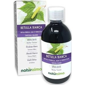 Ruwe berk (Betula pendula, alba of verrucosa) bladeren Alcoholvrije moedertinctuur Naturalma - Vloeibaar extract druppels 500 ml - Voedingssupplement - Veganistisch