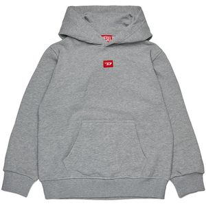 Diesel - J02502 - Hoodie - Rood - Met Capuchon - Oversized Pasvorm