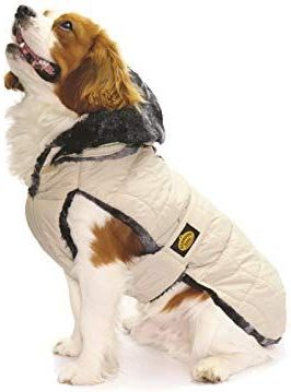 Steppmantel für Hunde - Beige - 55 cm - Fashion Dog
