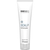 Framesi - Morphosis Scalp Control - Hoofdhuid Scrub - Jojoba-Wax