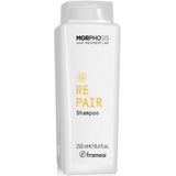 Framesi - New Morphosis - Repair Shampoo - 250ml - Haarverzorging