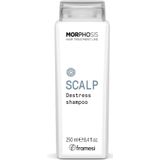 framesi MORPHOSIS Scalp Destress Shampoo 250 ml