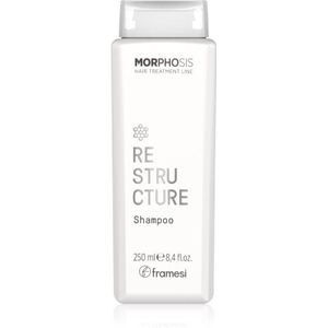 Framesi - Morphosis - Shampoo - Voor Dof Haar - 300ml