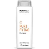 framesi MORPHOSIS Purifying Shampoo 250 ml