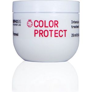 framesi MORPHOSIS Color Protect Intensive Treatment 250 ml