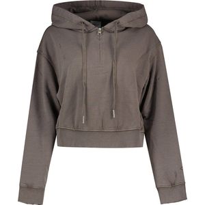 Replay - W3103 .000.22738G - Hoodie - Grijs