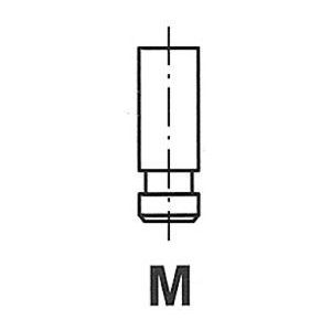 Uitlaatklep Nissan Freccia R6176/Rnt