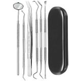 6 in 1 Black Box Stainless Steel Dental Tools Dental Care Tandsteen Tool Tandarts Tool Set