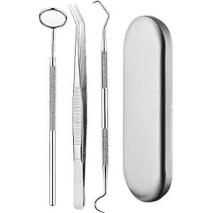 3 in 1 Zilveren Doos Roestvrij staal Tandheelkundige Hulpmiddelen Dental Care Tandsteen Tool Tandarts Tool Set