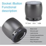 EWA A150 Draagbare Mini Bluetooth Speaker - Draadloos Hifi Stereo - Sterke Bas - Muziek Boom Box - Metalen Subwoofer - Ondersteunt Micro SD-kaart & 3.5mm AUX (Roségoud)
